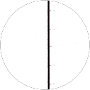 Sachintha Jayasuriya profile picture